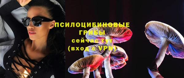 тгк Абаза