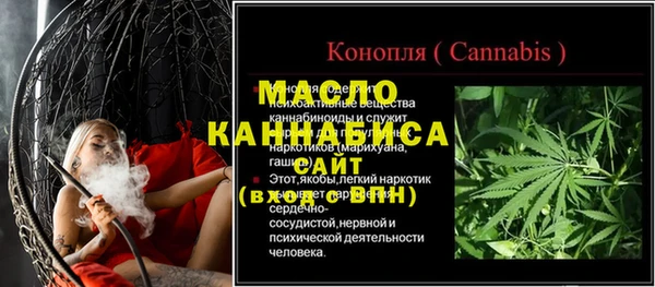 тгк Абаза