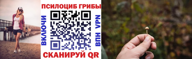 купить наркотик  shop какой сайт  Псилоцибиновые грибы мицелий  Новоалтайск 