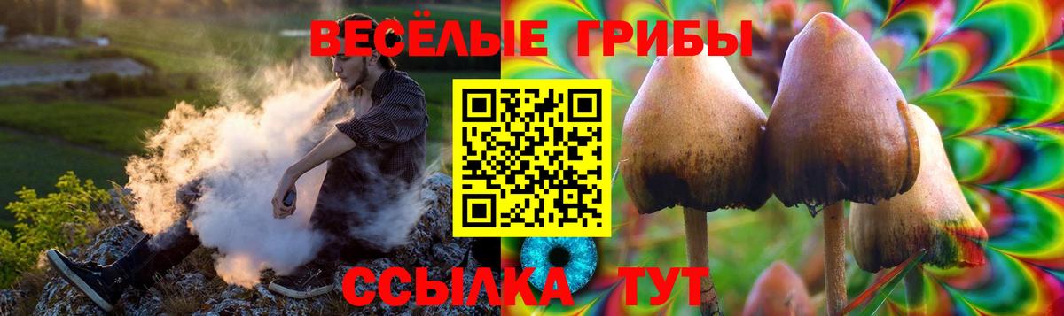 Псилоцибиновые грибы прущие грибы  Галлюциногенные грибы мицелий  Вход с VPN  Новоалтайск 